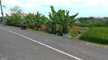 Gambar 1 Hanya 500 Meter Ke Pantai Perenenan, Canggu