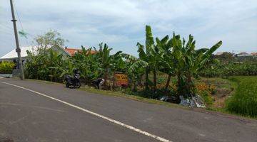 Gambar 3 Hanya 500 Meter Ke Pantai Perenenan, Canggu