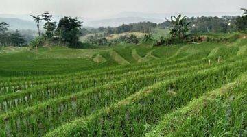 Gambar 2 Lokasi View Gunung& persawahan Buat Villa d sukamakmur bogor timur 