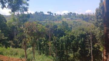 Gambar 5 Tanah D jual cepat View GG salak & kota MDPL 850 dingin 