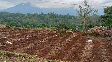 Gambar 1 Parung kuda bojong genteng sukabumi Jual lahan view Gunung 