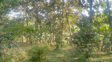 Gambar 4 lokasi Buat Villa/ yayasan view gunung di cijeruk bogor selatan