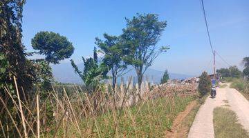 Gambar 3 Tanah D jual cepat View GG salak & kota MDPL 850 dingin 