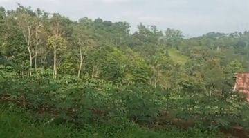 Gambar 5 View Gunung MDPL sejuk Buat Prkebunan alpukat& duren D Sukabumi bojong genteng