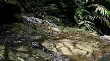 Gambar 5 Tanah Ples Air terjun Sejuk MDPL 900 view Gunung di bogor 