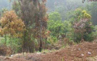 Gambar 5 Lokasi buat ternak & yayasan juga Berkebun buah di nanggung bogor barat