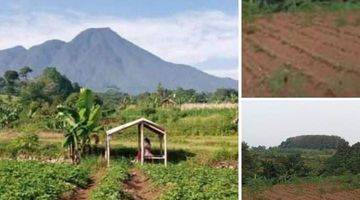 Gambar 2 Tanah di bogor View Gunung salak MDPL 800 