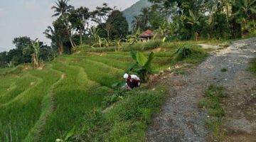 Gambar 3 Lokasi View Gunung& persawahan Buat Villa d sukamakmur bogor timur 