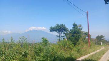 Gambar 2 Tanah D jual cepat View GG salak & kota MDPL 850 dingin 