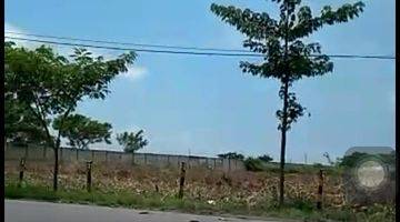 Gambar 3 TANAH 4 HEKTAR DI KOTA TUBAN KECAMATAN WIDANG MASUK ZONA 3 INDUSTRI COCOK UNTUK INDUSTRI KERAMIK, BATUKAPUR, GENTENG, GYPSUM, PUPUK