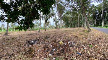 Gambar 2 Tanah Cocok Untuk Pergudangan