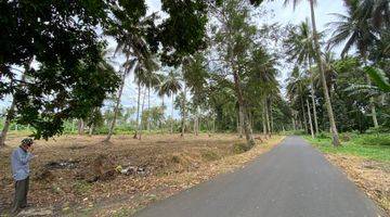 Gambar 4 Tanah Cocok Untuk Pergudangan