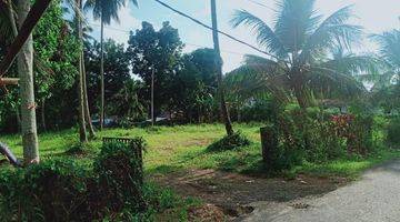 Gambar 2 Tanah Di Pemukiman