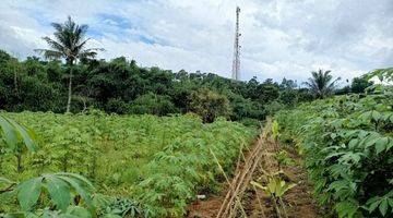 Gambar 2 Jual Lahan Kebun 1,6 Milyar di Bojong Murni Bogor
