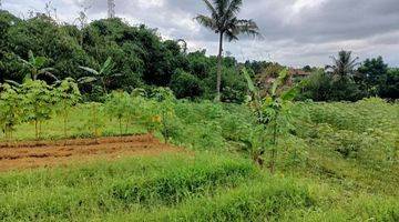 Gambar 4 Jual Lahan Kebun 1,6 Milyar di Bojong Murni Bogor
