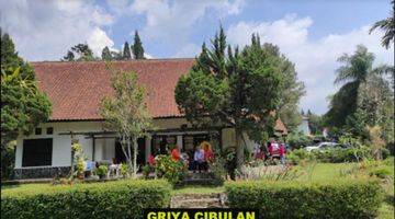 Gambar 1 Villa 10Milyar dengan tanah cukup luas  Cibulan Cisarua - Bogor 
