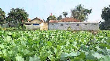 Gambar 1 Tanah Subur Disisi Jalan Kabupaten