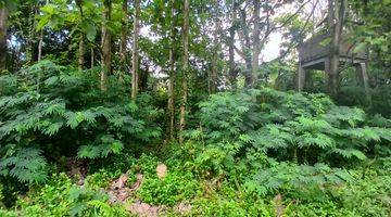 Gambar 2 99 Years For Plot Lease 2.555 Sq.m. At Payangan, Bali Uk