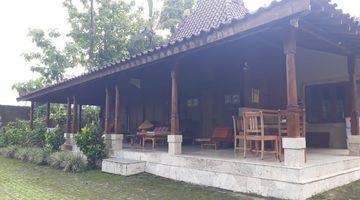 Gambar 2 Last Paradise Bali Ubud Hideaway For Lease 