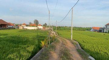 Gambar 1 Tanah View Sawah di Pantai Seseh Mengwi Badung Dekat Canggu