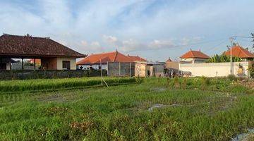 Gambar 4 Tanah View Sawah di Pantai Seseh Mengwi Badung Dekat Canggu