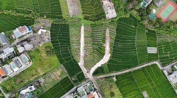 Gambar 5 Tanah View Sawah di Pantai Cemagi Mengwi Badung Dekat Canggu