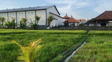 Gambar 3 Tanah View Sawah di Pantai Seseh Mengwi Badung Dekat Canggu