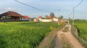 Gambar 5 Tanah View Sawah di Pantai Seseh Mengwi Badung Dekat Canggu