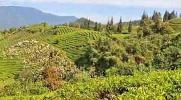 Gambar 1 Tanah 34650  m² SHM SOLOK SELATAN SUMATRA BARAT