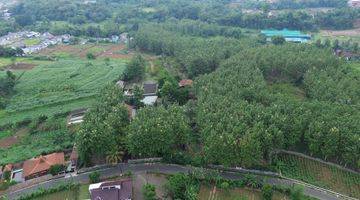 Gambar 3 Dijual Tanah Potensial Prospek 4,5ha, Jl Tegalwaru Ciampea Bogor 