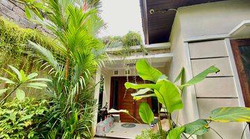 Gambar 3 Turun Harga Villa 03 Bed Room di Krobokan Bali