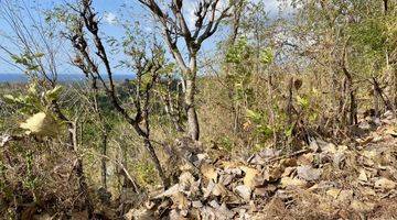 Gambar 4 Tanah Luas View Gunung Dan Laut Buleleng, Bali