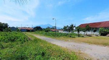 Gambar 2 Tanah Murah, Dekat Terminal Bubulak, Sangat Cocok Bangun Rumah