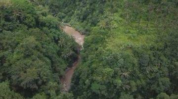 Gambar 4  Tanah di Ubud SHM - Sertifikat Hak Milik 1,75 Hectare