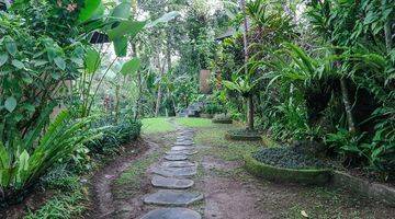 Gambar 5 Villa Pinggir Sungai di Ubud