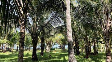 Gambar 3 LOS PANTAI 2,57 Hektar PANTAI MELAYA, NUSASARI, JEMBRANA