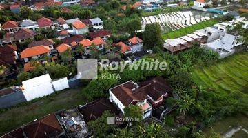 Gambar 4 Tanah SHM Lingkungan Villa di Banjar Semer Umalas Kerobokan, Bali