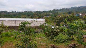 Gambar 1 Dijual Green House, Rumah Dan Tanah Di Sumberbenda Malang Tanah