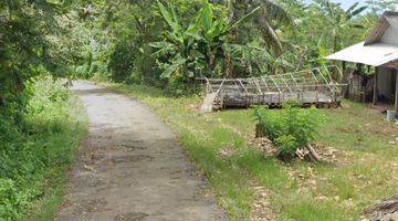 Gambar 2 Kebon Kelapa Tulung Agung Blitar, Hak Sewa, Murah