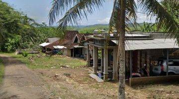 Gambar 3 Kebon Kelapa Tulung Agung Blitar, Hak Sewa, Murah