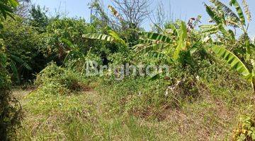 Gambar 2 Tanah Kavling untuk Villa dekat Pantai Ketewel