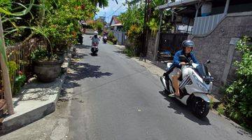 Gambar 4 Tanah Langka Dipulau Misol Dkt Simpang Enam Teuku Umar Denpasar