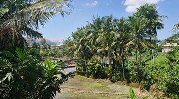 Gambar 5 Dijual Tanah View Sawah Dan Los Sungai Mas Ubud Gianyar