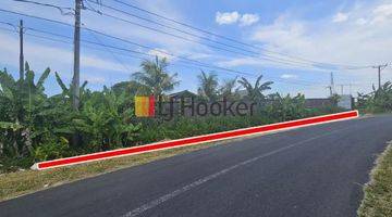 Gambar 5 Land for lease at Kaba-Kaba, Kediri, Tabanan, strategic location, close to Munggu area