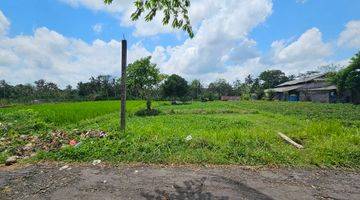 Gambar 1 Tanah Sawah Produktif Marga Tabanan