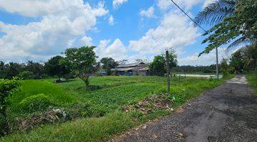 Gambar 3 Tanah Sawah Produktif Marga Tabanan