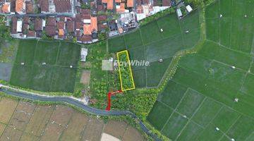 Gambar 1 Ricefield And Beautiful Sunset View Land Plot In Seminyak, Bali