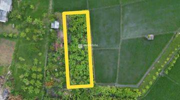 Gambar 4 Ricefield And Beautiful Sunset View Land Plot In Seminyak, Bali