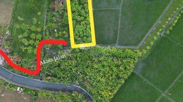 Gambar 5 Ricefield And Beautiful Sunset View Land Plot In Seminyak, Bali