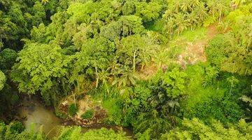 Gambar 4 JUNGLE AND RIVER VIEW!!! Land for Lease NEAR NUANU & Tanah Lot